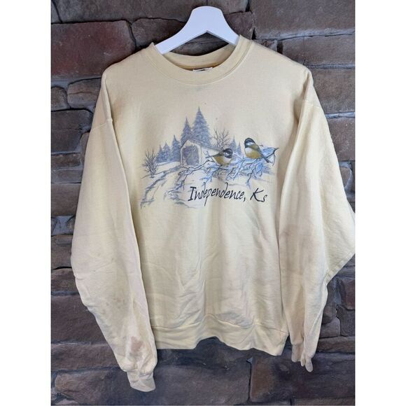 American Vintage Other - Size M - Vintage 1990s Independence Kansas Bird Nature Snowy sweatshirt Crewneck